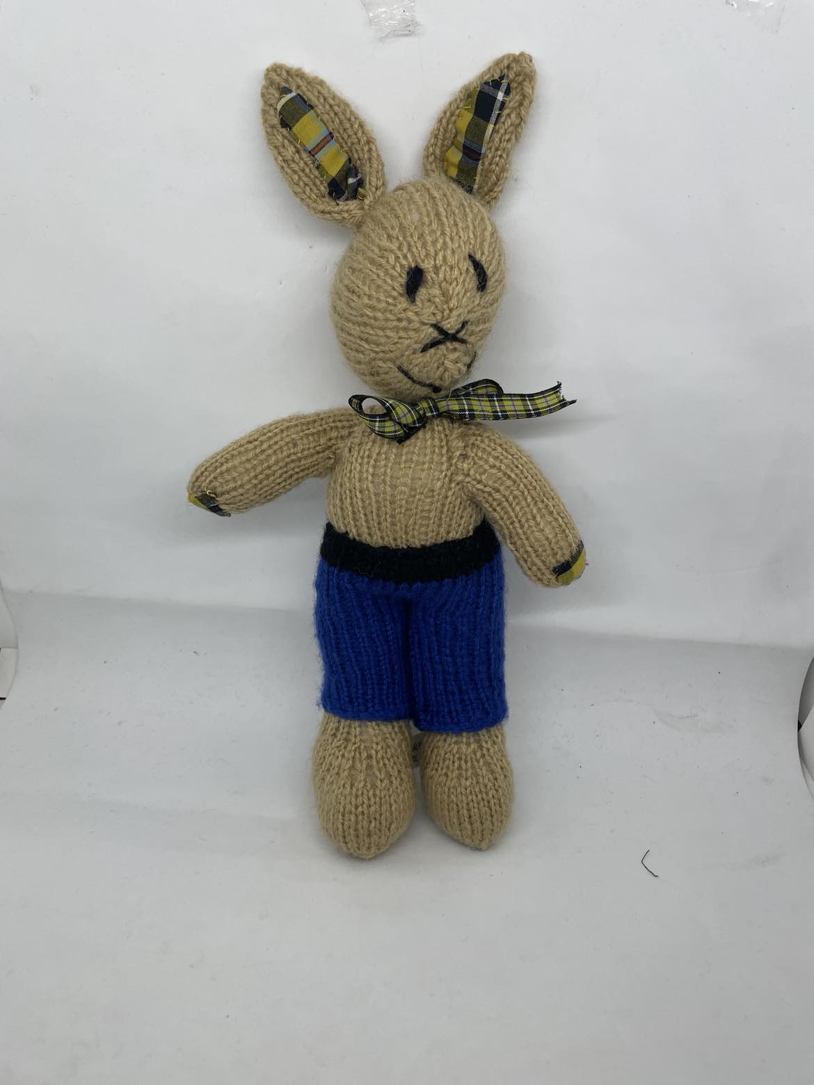 Mr Bunny
