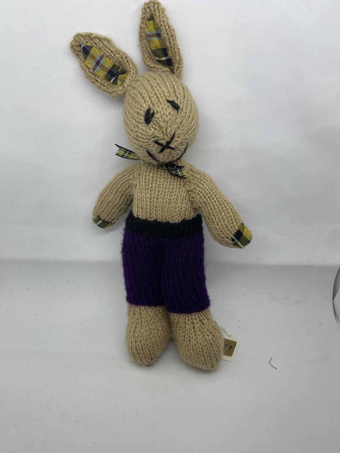 Mr Bunny