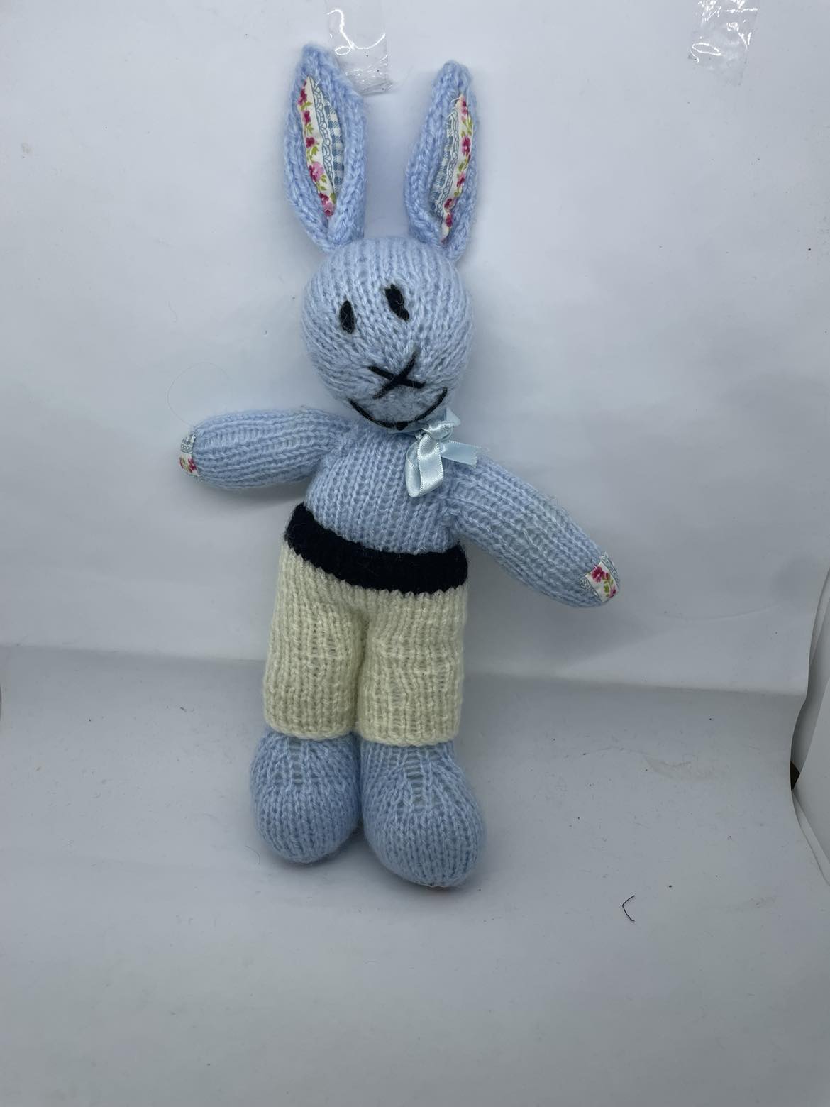 Mr Bunny