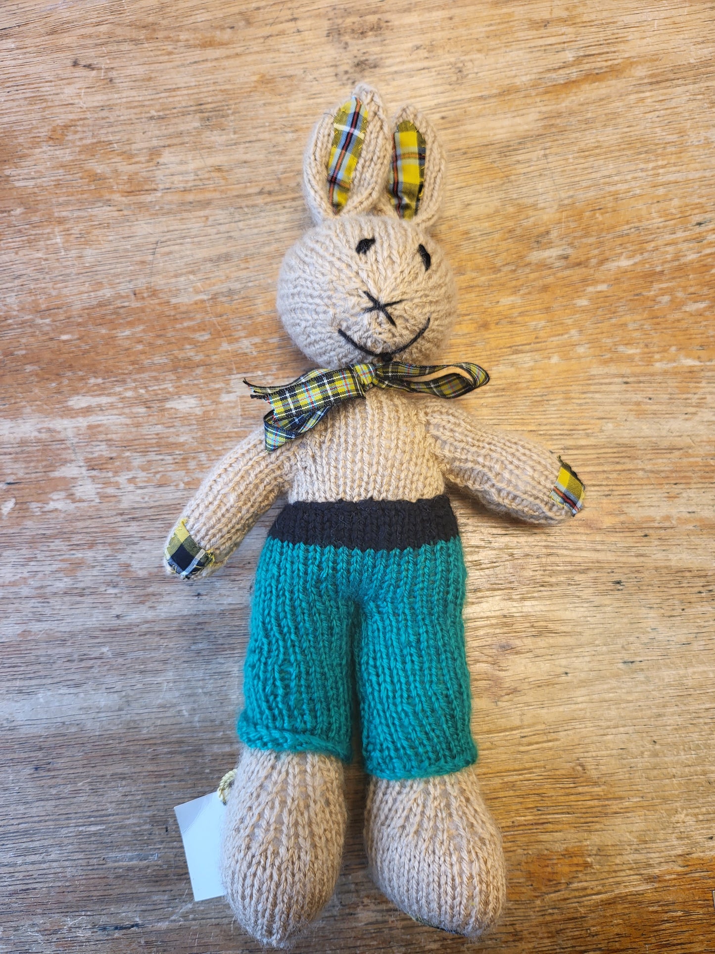Mr Bunny