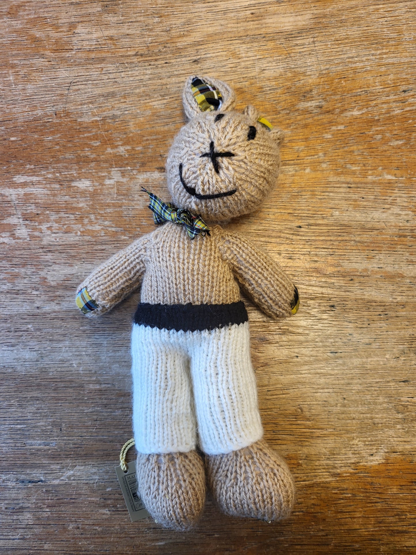 Mr Bunny