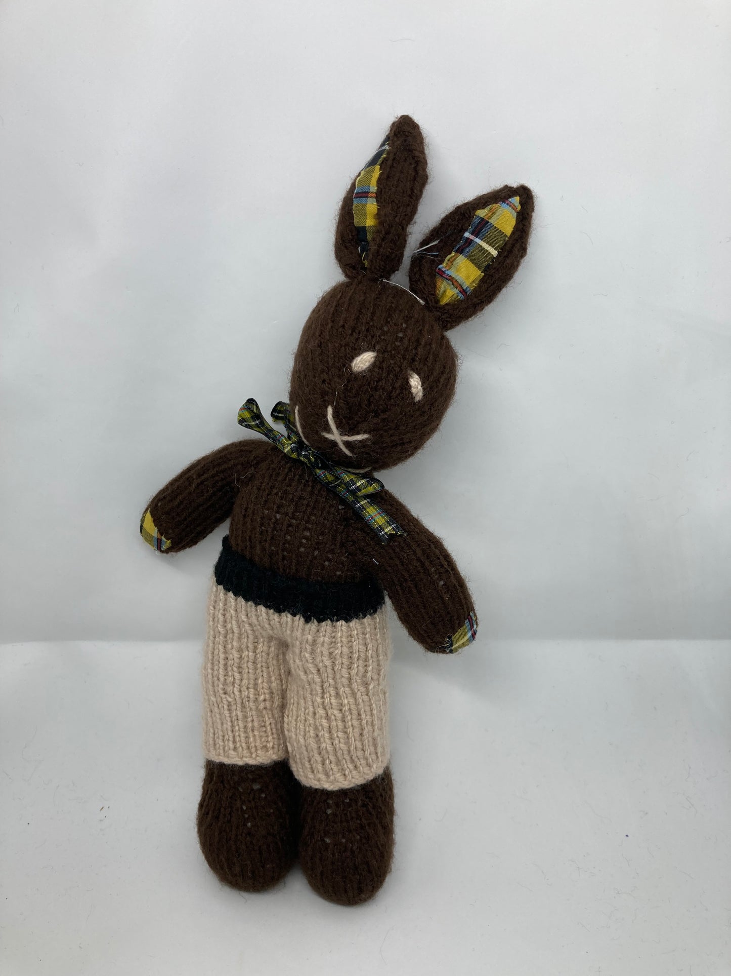 Mr Bunny