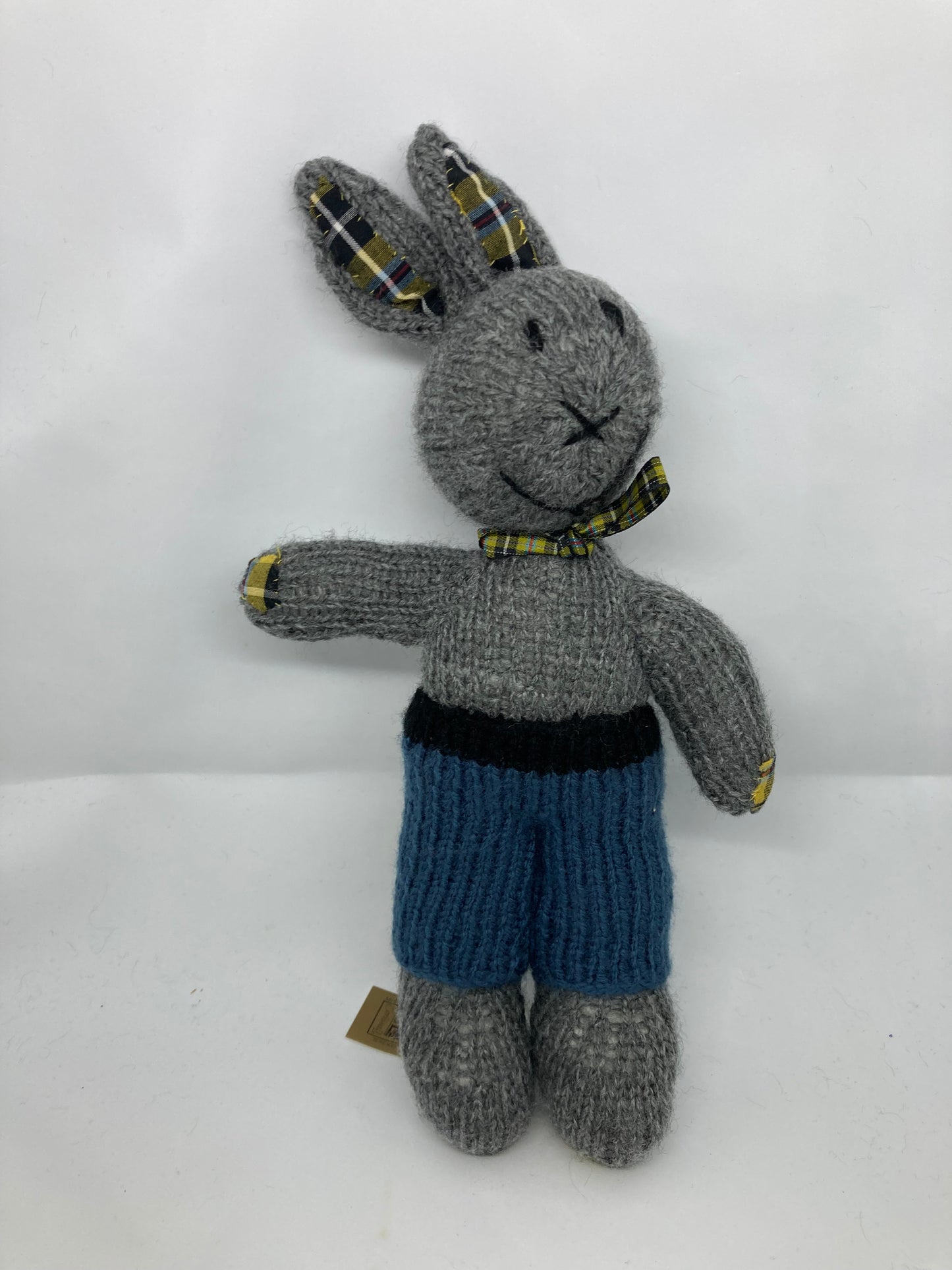 Mr Bunny